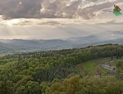 Progetto “Locale è meglio!”